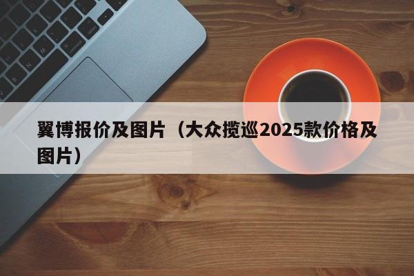 翼博报价及图片（大众揽巡2025款价格及图片）